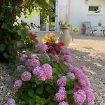 La Petite Maison Apartment Corme-Ecluse