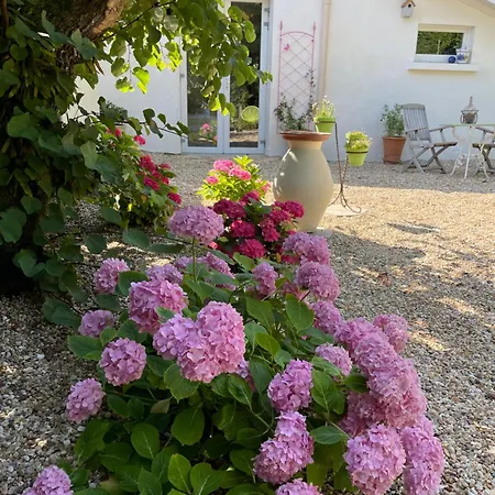 La Petite Maison Apartman Corme-Ecluse