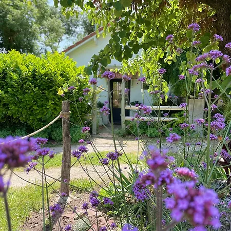 La Petite Maison Corme-Ecluse