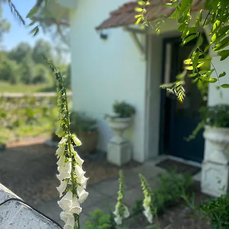 La Petite Maison Apartment *