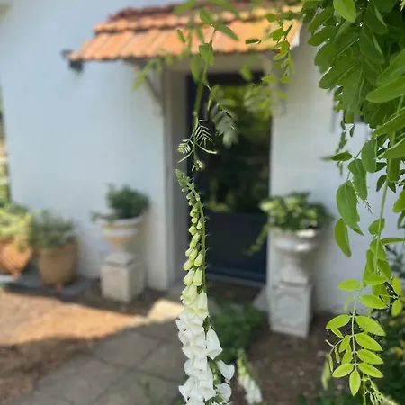 La Petite Maison * Corme-Ecluse