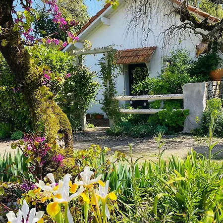 La Petite Maison Apartment