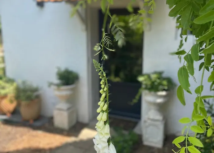 La Petite Maison * Corme-Ecluse